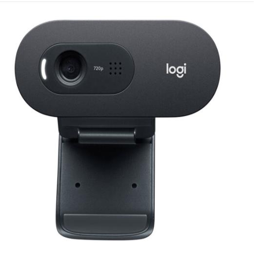 罗技（Logitech）C505e 高清摄像头 家用摄像...