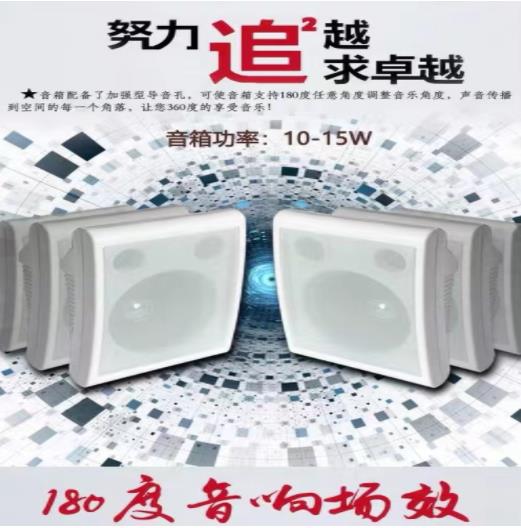 DKB正品 吸顶室内音箱/教室壁挂音响/6.5寸