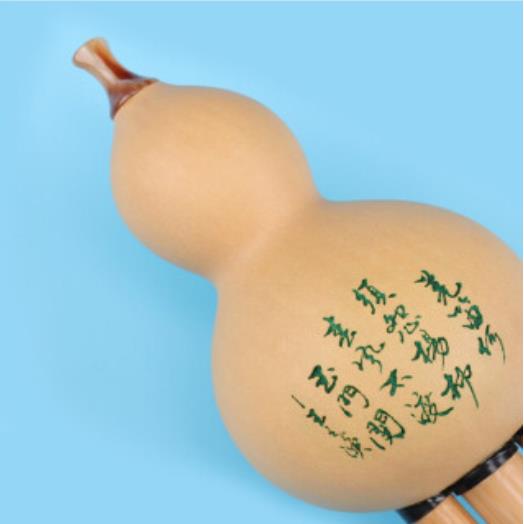丝竹之音（SIZHUZHIYIN） 管乐器 ZSZY85...