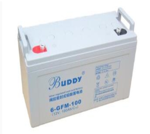 BUDDY 宝迪 6-GFM-10012V100AH U...