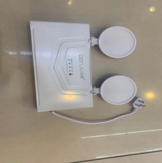 东君LED IP65 双头灯具