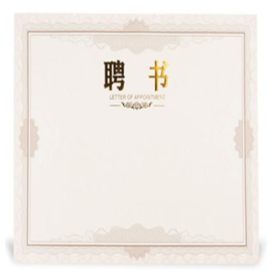 晨光12K聘书内芯纸ASC99323 米黄色