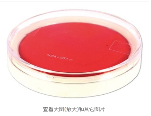 得力9863A快干印台(红)